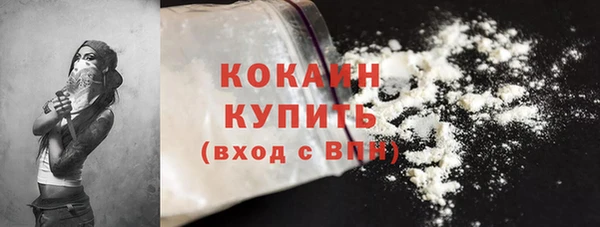 дмт Инсар