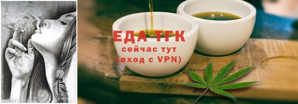 дмт Инсар