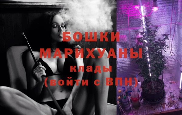 ПСИЛОЦИБИНОВЫЕ ГРИБЫ Карабаш